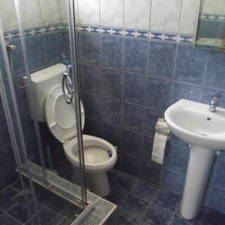 Apartmani Stojanović - Apartman s 1 Spavaćom Sobom i Terasom - 6
