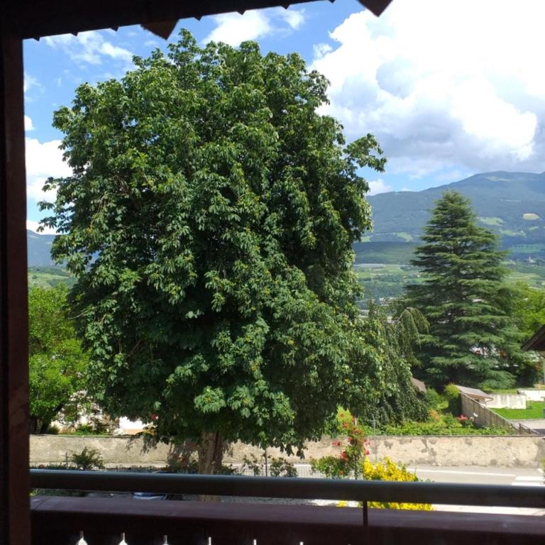 Hotel Villa Mayr Rooms & Suites - Deluxe Doppelzimmer mit Zustellbett - 9