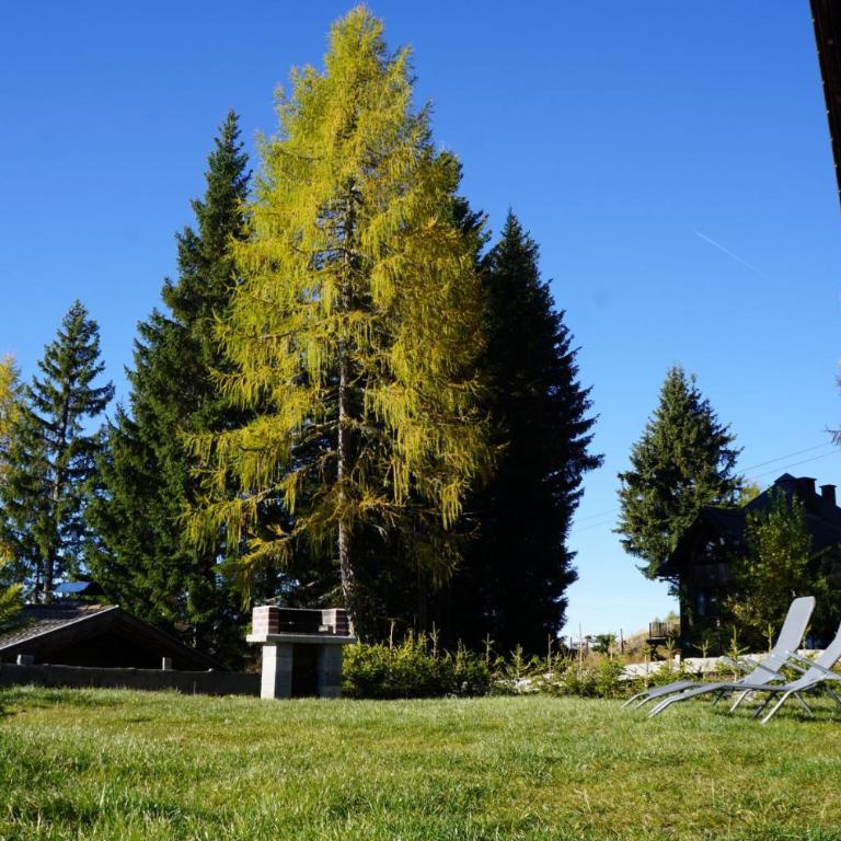 Gerlitzen-Hütte - Haus mit 5 Schlafzimmern - 10
