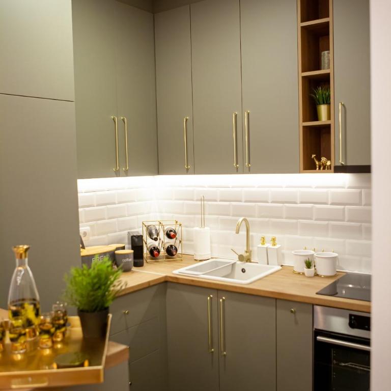 Avenija1 - Apartman sa 1 Spavaćom Sobom - 10
