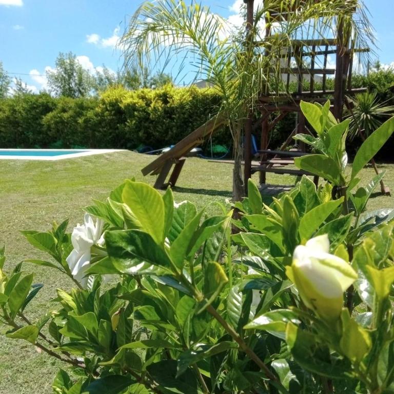 Casa Quinta Abuelo Gordo - Two-Bedroom House - 9