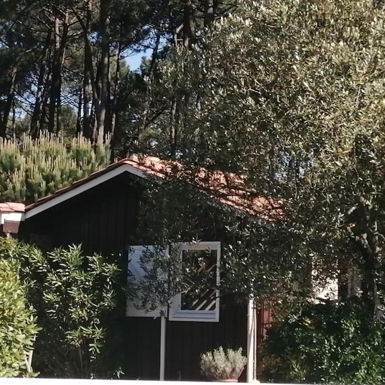 Maison familiale en bois avec piscine, proche du bassin - Maison 3 Chambres - 11
