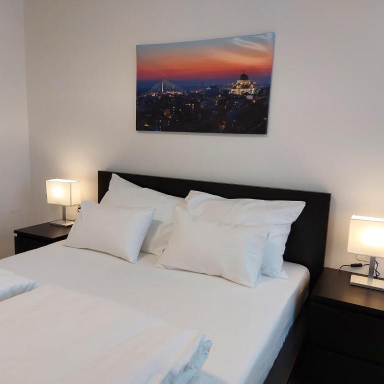 Apartment Vracar Belgrade, St Sava Church Park - Deluks Apartman - 27