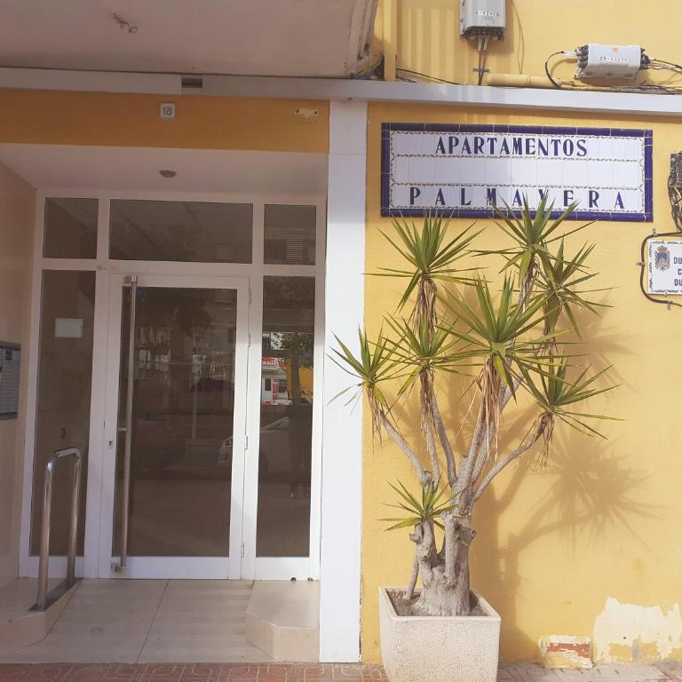 PALMAVERA BEACH - Apartamento de 3 dormitorios - 5