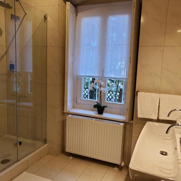 Palais Kneissl - Suite mit Poolblick - 1