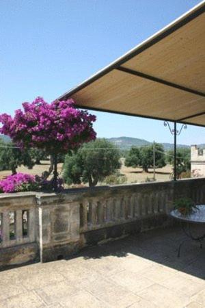 Masseria Salamina - Appartamento con 1 Camera da Letto - 1