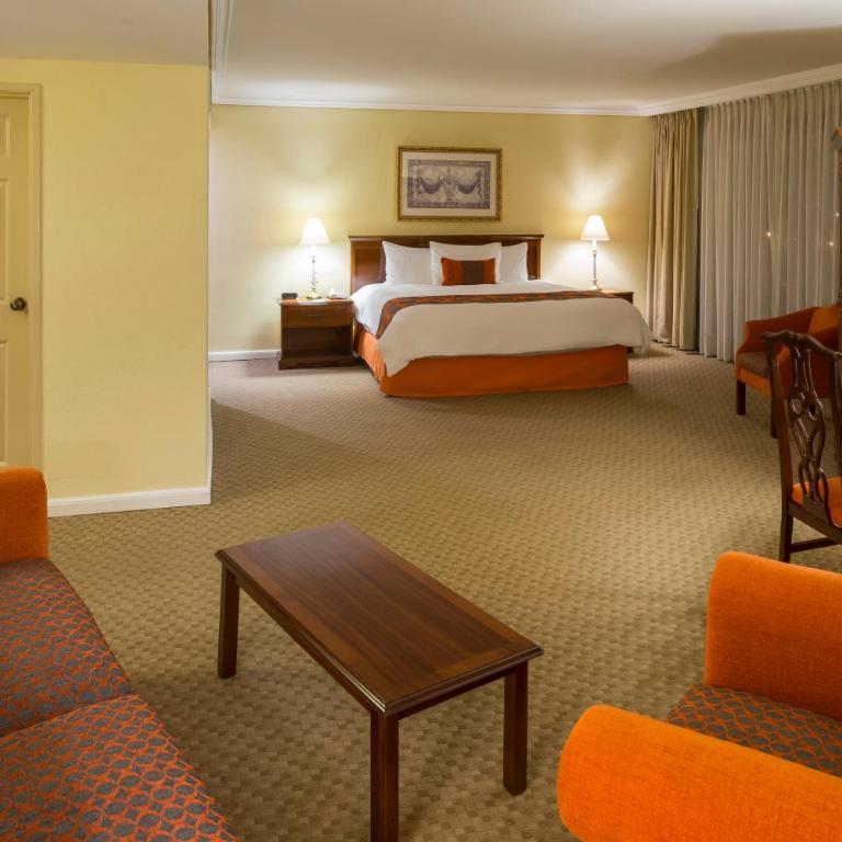 Camino Real Puebla Angelopolis - Suite Doble NJ - Cama extragrande - 3