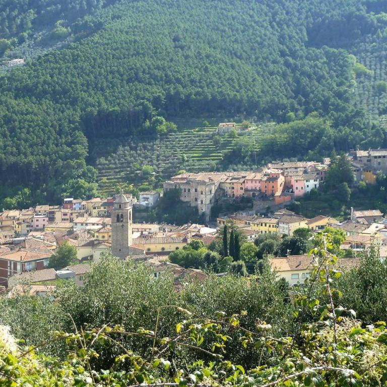 Estate in Monte Serra with Pool & Olive Views - Appartamento con 1 Camera da Letto - 8