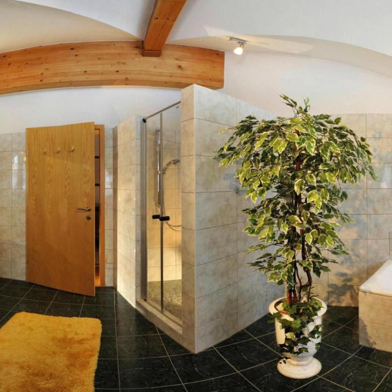 Apartment in Achenkirch near Lake Achensee - Apartment mit 1 Schlafzimmer - 17