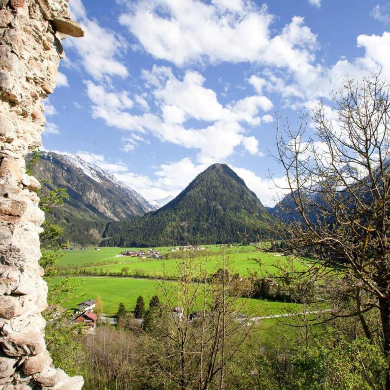 Apartment in Hohe Tauern with Mountain Views - Apartment mit 3 Schlafzimmern - 17