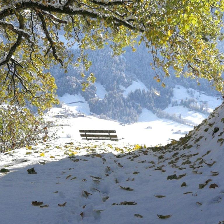 Apartment in Hippach near Mayrhofen Ski Area - Apartment mit 2 Schlafzimmern - 29