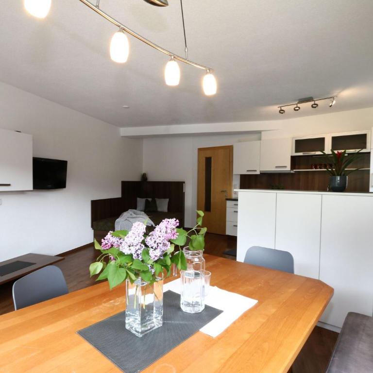 Apartment in Hippach near Mayrhofen Ski Area - Apartment mit 2 Schlafzimmern - 3