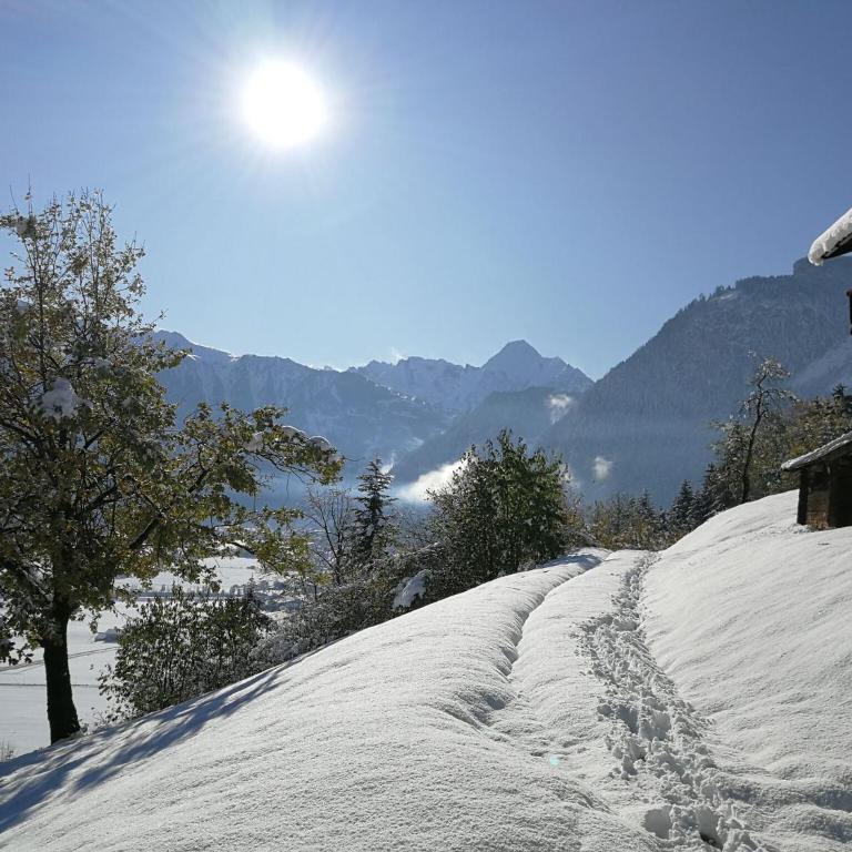 Apartment in Hippach near Mayrhofen Ski Area - Apartment mit 2 Schlafzimmern - 26