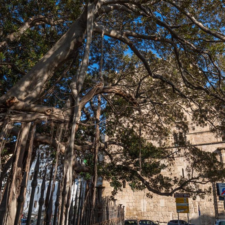 Lungarini Apartment - Historic Kalsa - Appartamento - 22