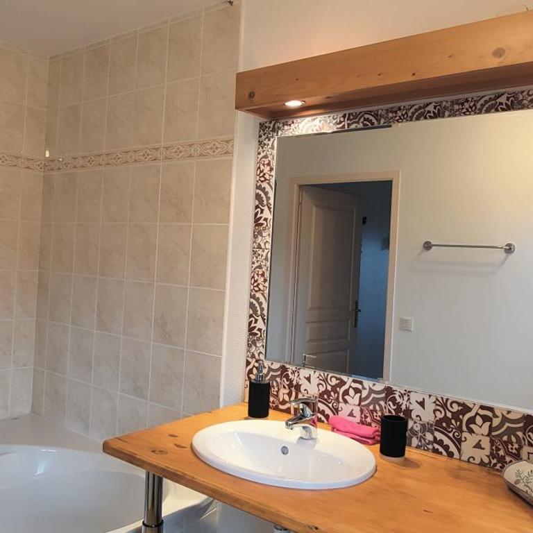 C le birdie - Appartement 1 Chambre - 16