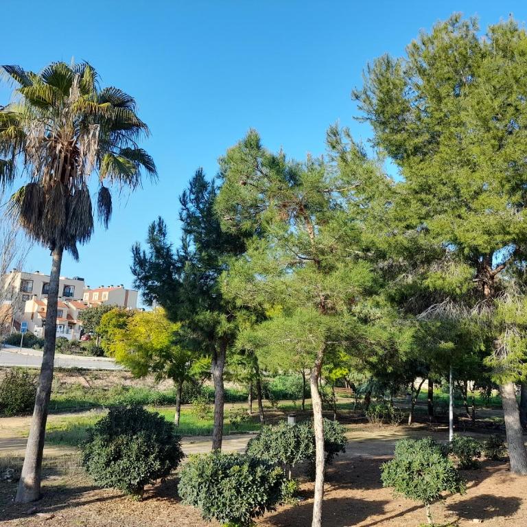 Lomas de Cabo Roig Top floor apartment with Sea View Airport Collection included T&C - Apartamento de 2 dormitorios - 22