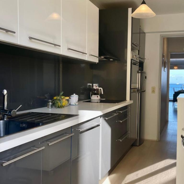 Seafront one bedroom apartment with a terrasse swimming pool and a parking - Appartement - 11
