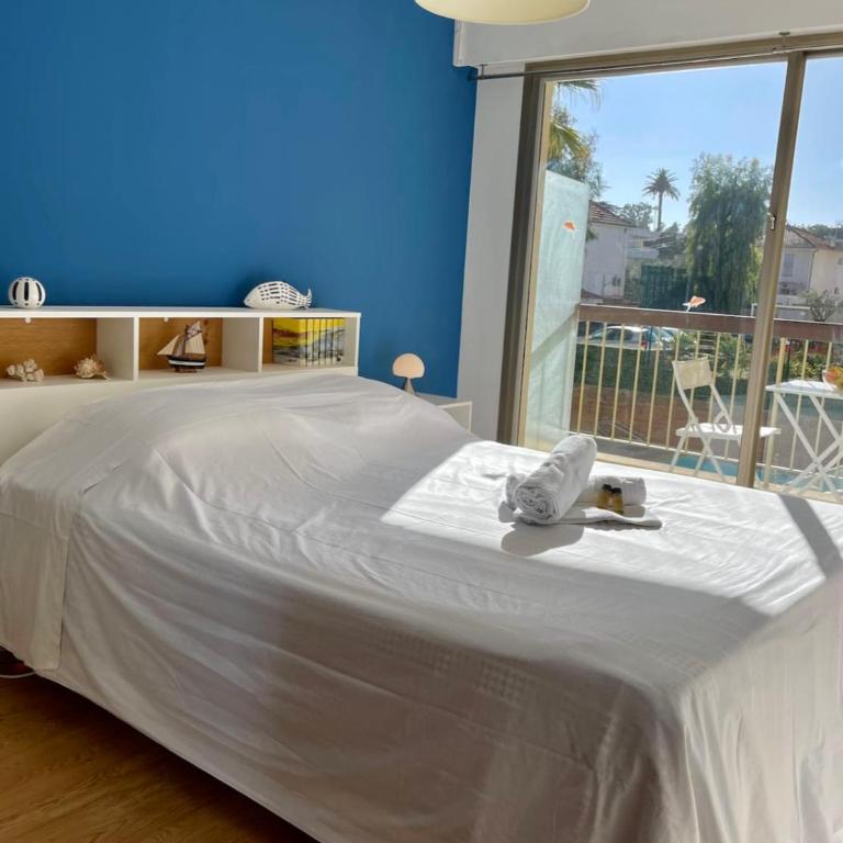 Seafront one bedroom apartment with a terrasse swimming pool and a parking - Appartement - 16