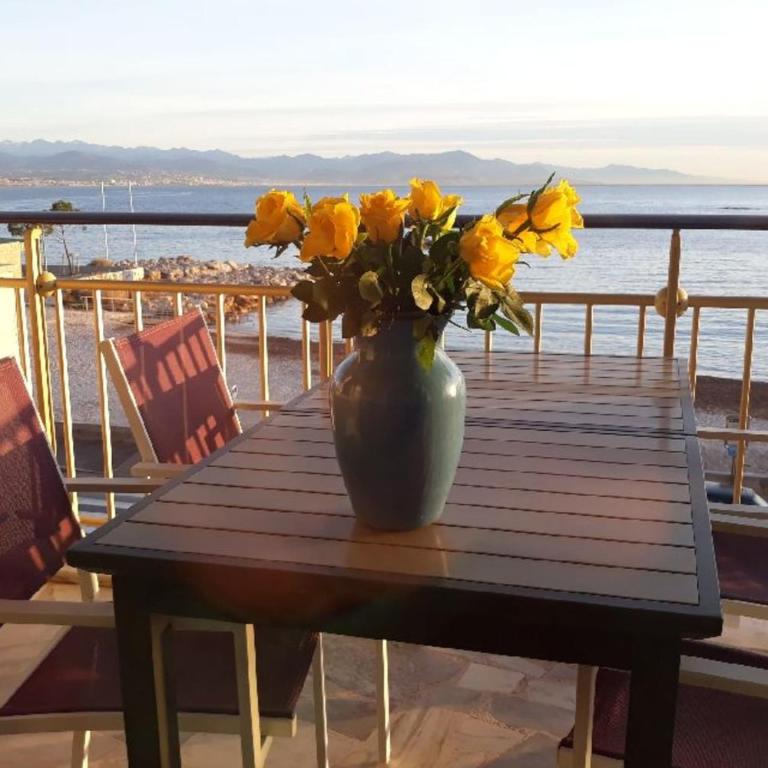 Seafront one bedroom apartment with a terrasse swimming pool and a parking - Appartement - 1