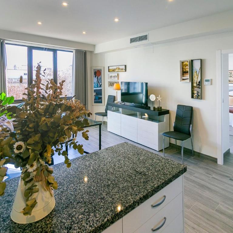 Geysotur Gran Capitán Uno - One-Bedroom Apartment - 6