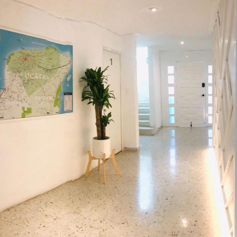 Hotel Downtown Merida - Budget Double or Twin Room - 7