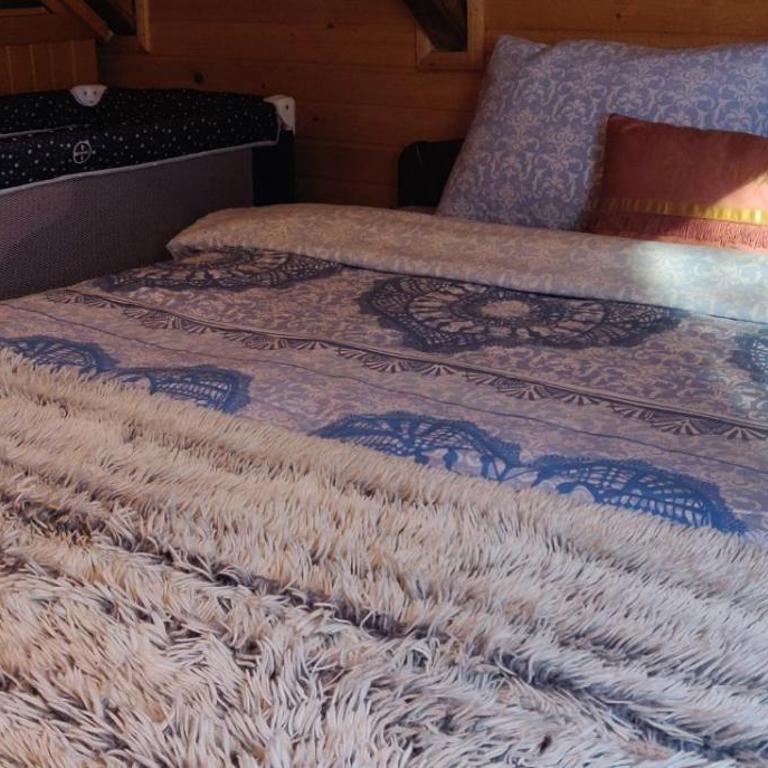 Lodge House Tara - Brvnara sa 3 Spavaće Sobe - 33