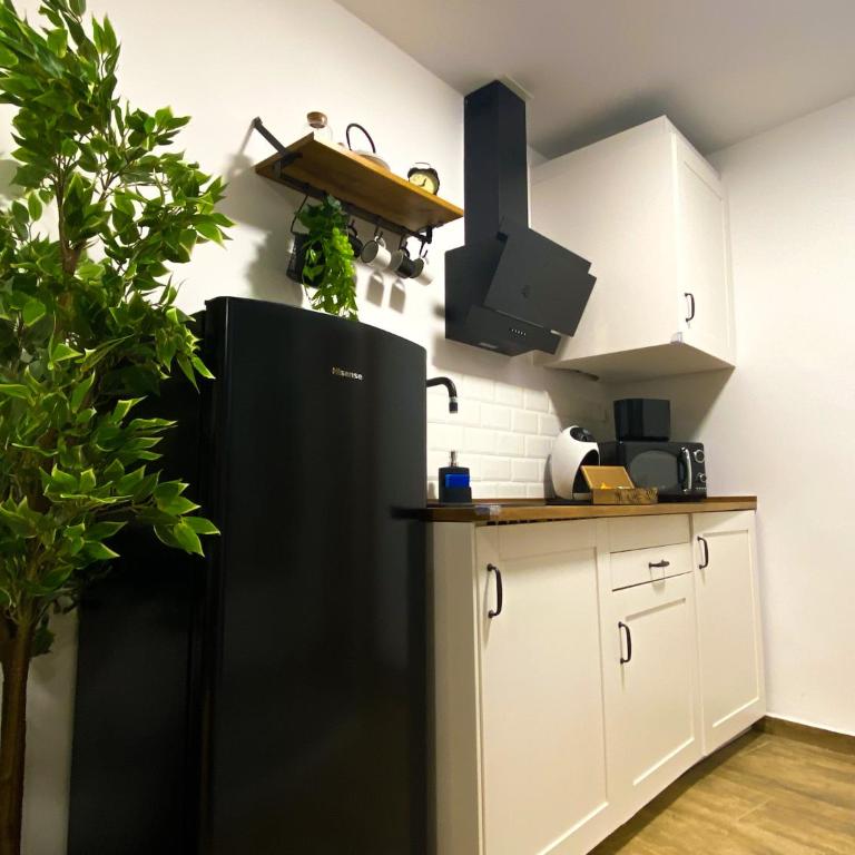 Suite con Cueva Romana/Roman Cave * Early Check-in - Apartamento de 1 dormitorio - 8