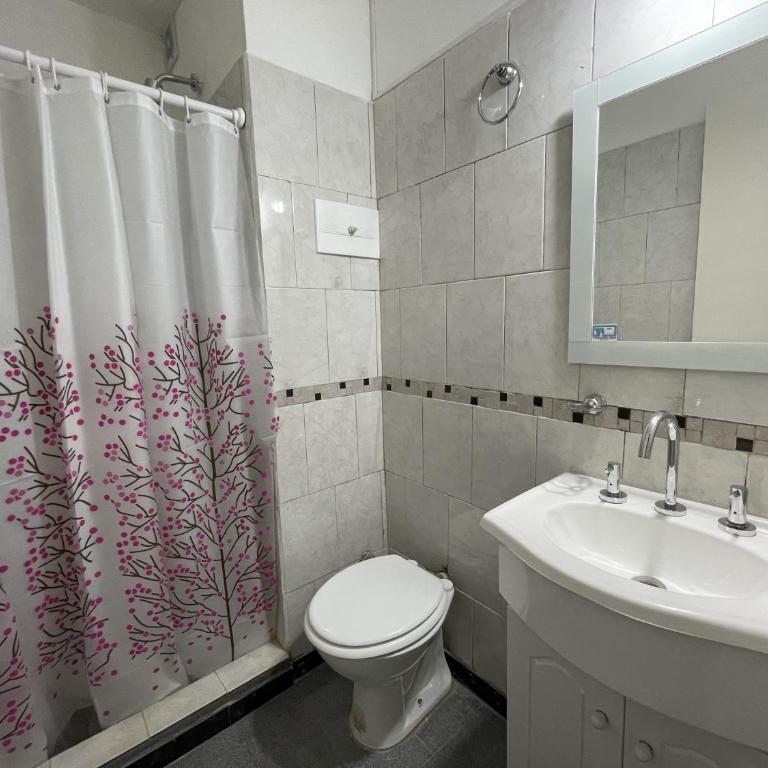 Departamento excelente ubicacion. Zona Plaza Mitre. - Apartamento de 1 dormitorio - 6