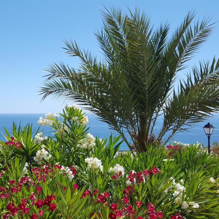 South Facing Apartment, Fantastic Sea Views,Terrace, 300m beach - Apartamento con vistas al mar - 23