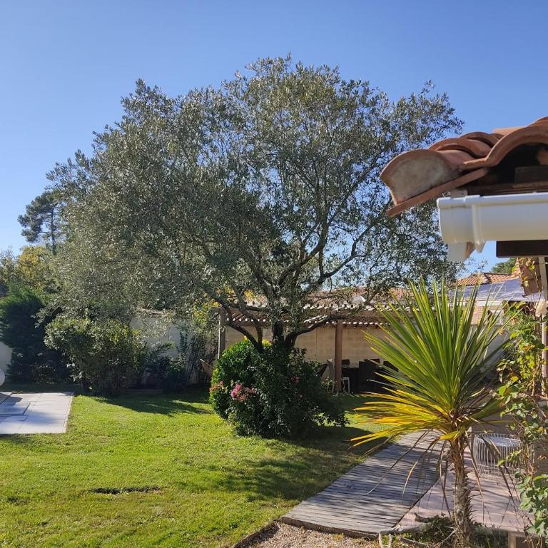 Maison familiale en bois avec piscine, proche du bassin - Maison 3 Chambres - 18
