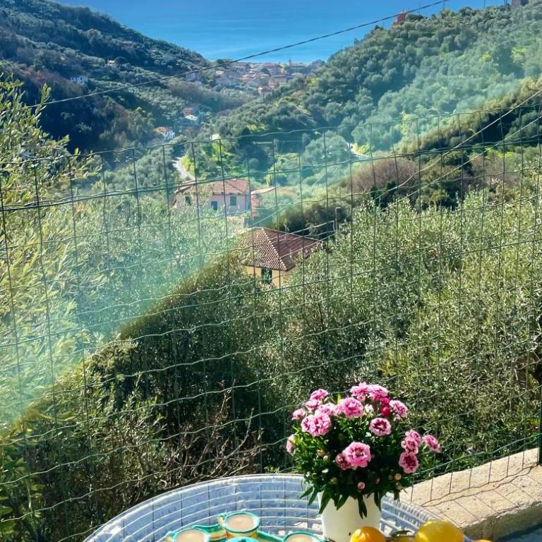 Foglie d'Argento - Casa Vacanze - 12