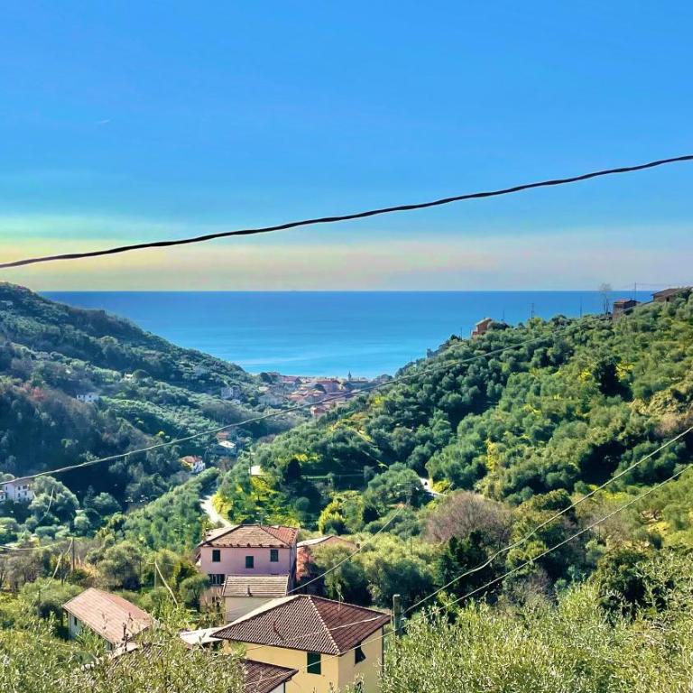 Foglie d'Argento - Casa Vacanze - 23