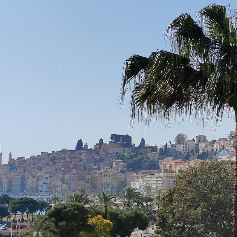 Studio Calme BORD DE MER Balcon avec Vue sur MENTON, Ascenseur, Climatisation, Ideal location quiet near sea, balcony with city view, elevator, AC - Studio - 8