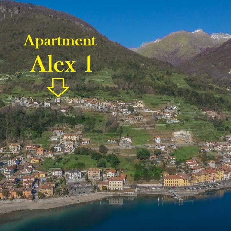 Apartment Alex 1 in Domaso - Appartamento con Vista Lago - 19