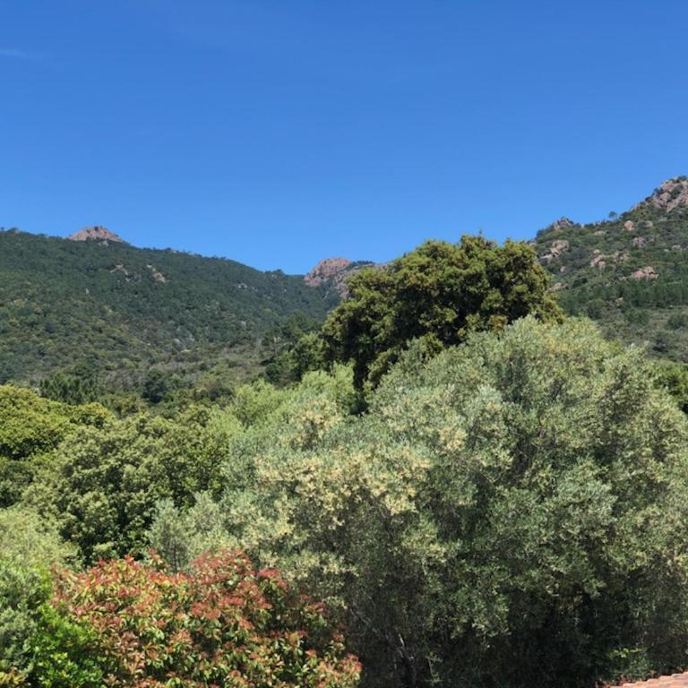 Casapiana - Maison de Vacances - 26