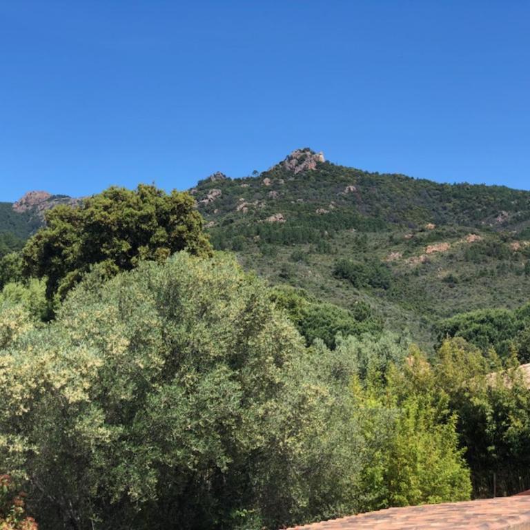 Casapiana - Maison de Vacances - 27