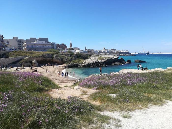 ECO DEL MARE Locazioni Turistiche - One-Bedroom Apartment - 35