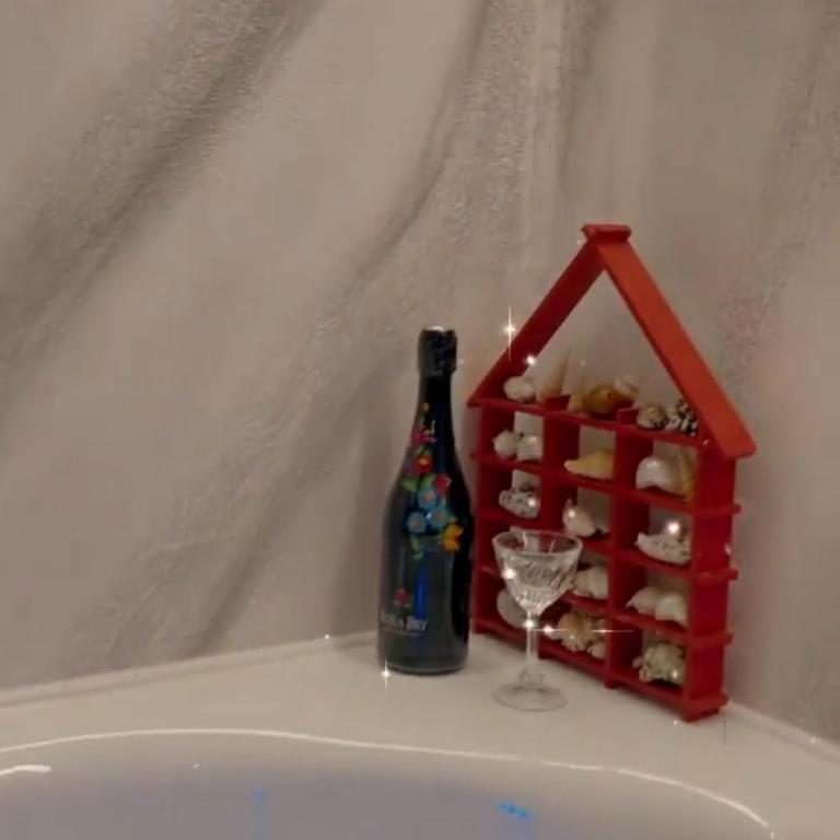 Djakuzi Viktorija - Apartman sa 1 Spavaćom Sobom - 25