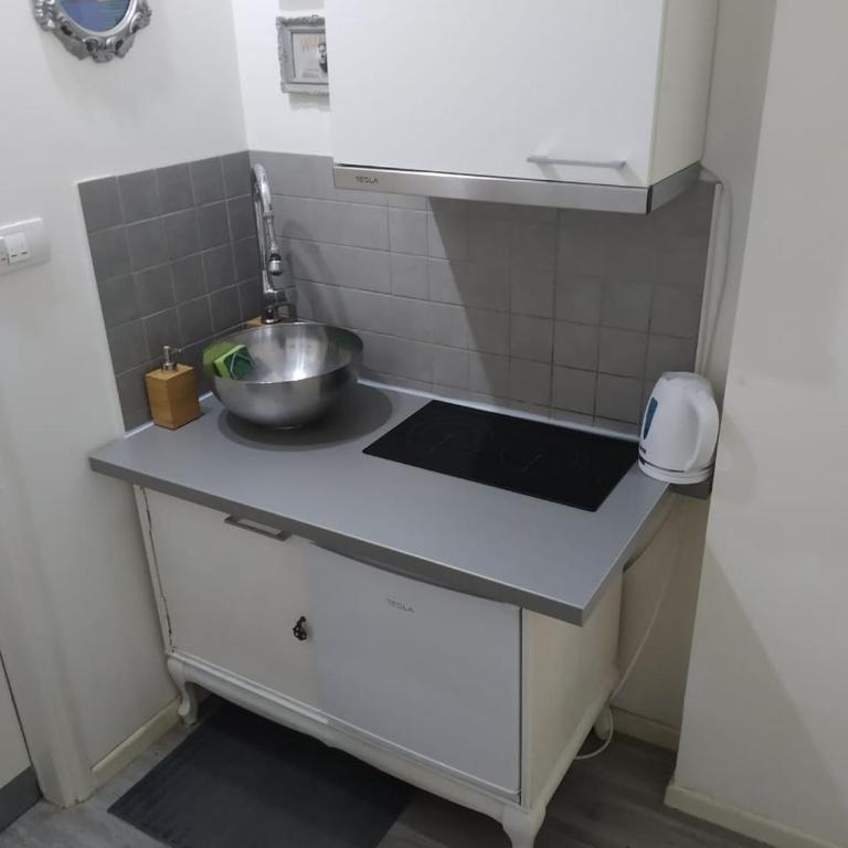 Apartment Tesla Wizard - Apartman sa 1 Spavaćom Sobom - 81