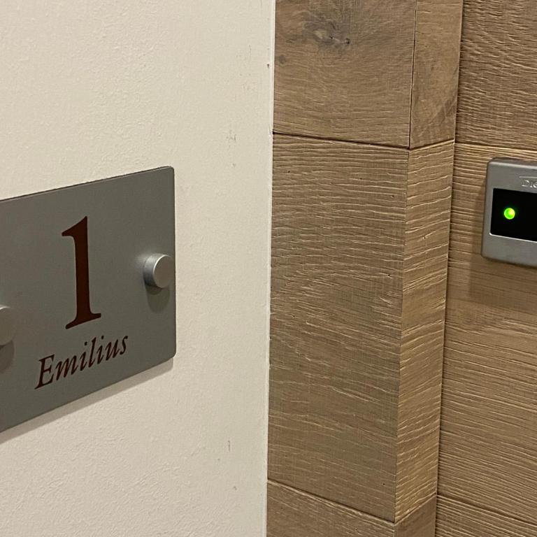 Emilius Suite - Appartamento con 1 Camera da Letto - 15