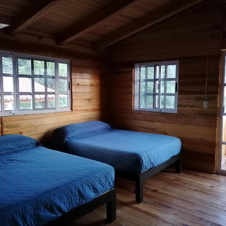 Cabañas San José de la Montaña - Chalet - 17