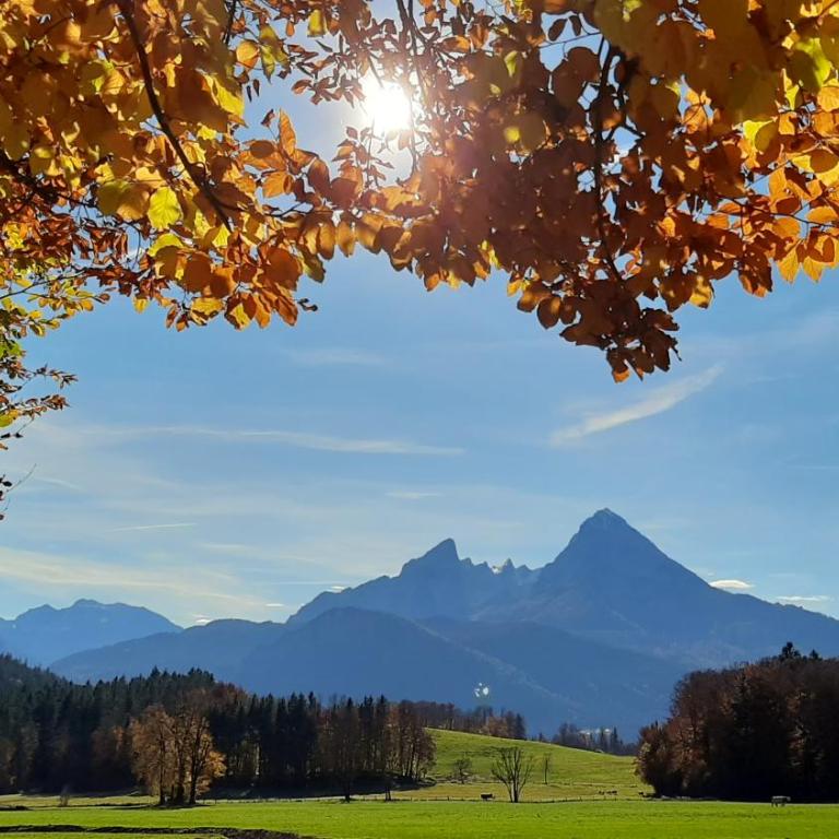 Gästehaus Kurz - Apartment mit Blick auf die Berge - 13