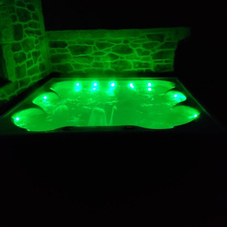 Lorgues jacuzzi spa privatif et piscine - Maison 1 Chambre - 17