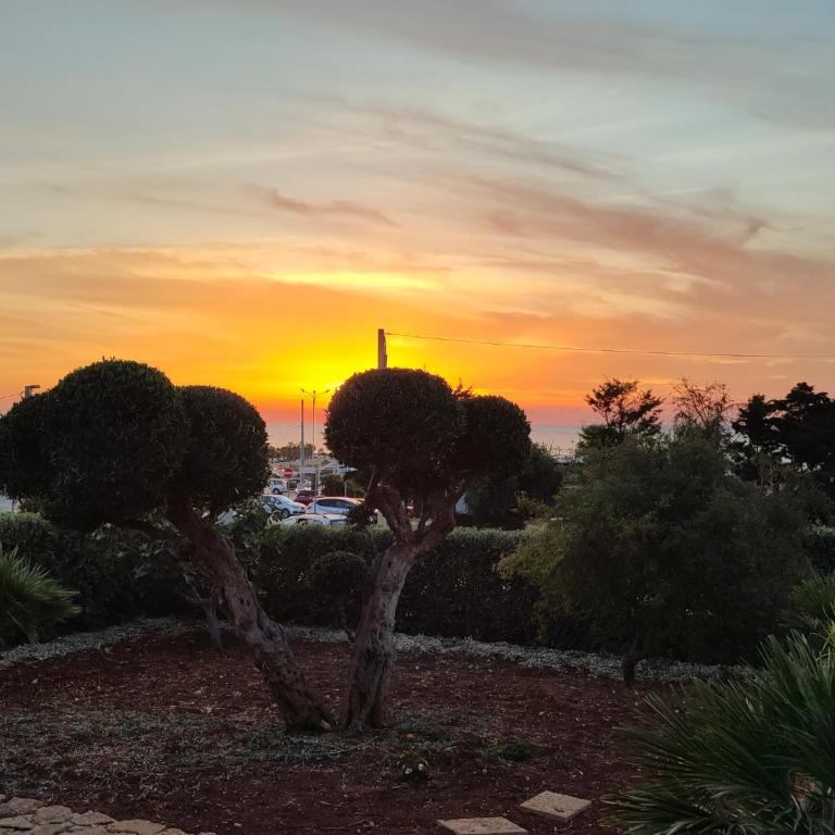 Villa Castiglione - Villa con Vista Mare - 22