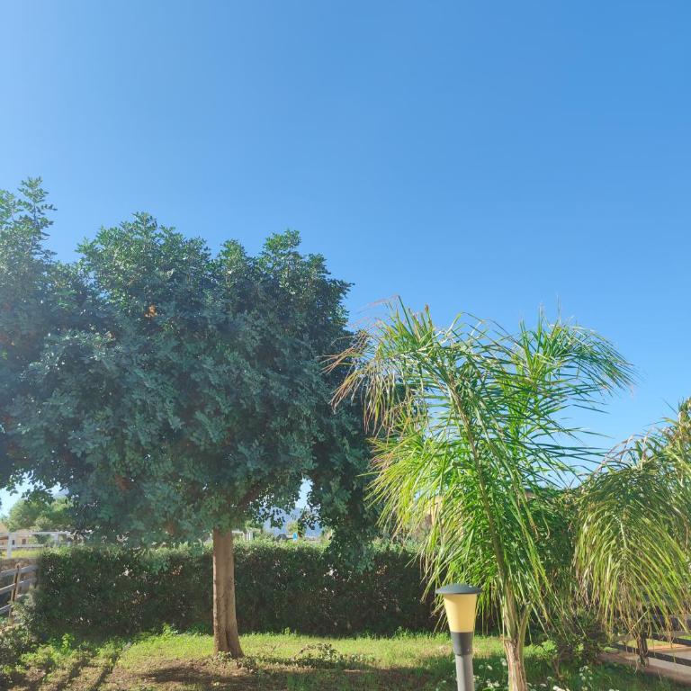 Villa Castiglione - Villa con Vista Mare - 27