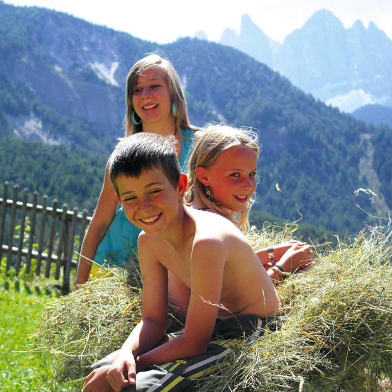 Chalet in Funes Valley with Dolomites Views - Apartamento de 2 dormitorios - 13