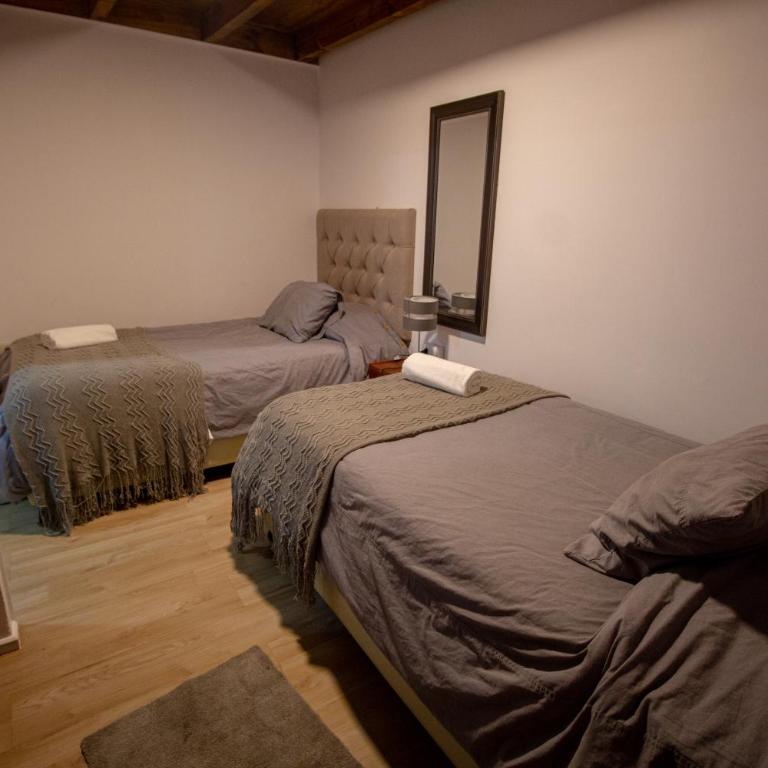 Hotel Tierra de Parras - Habitación Doble adaptada para personas con discapacidad - 2 camas - 1