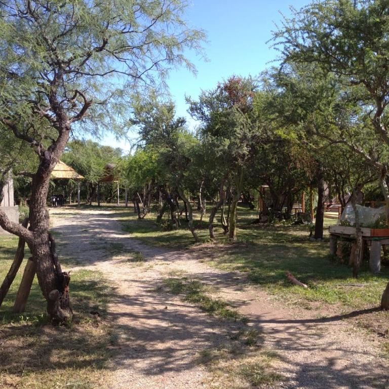 Bosquecito de Carpin - Apartamento de 2 dormitorios - 13