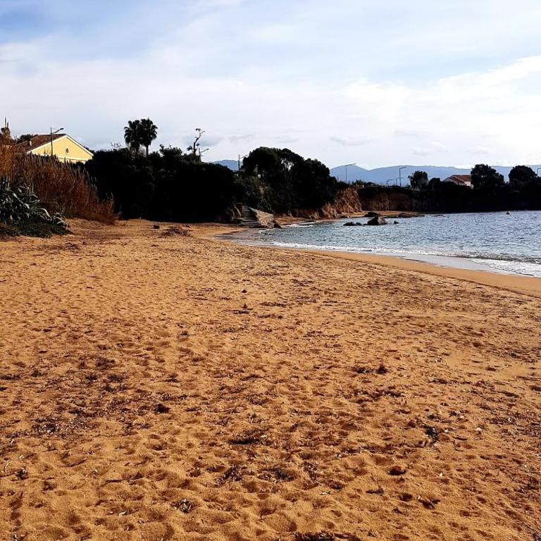 Sudio bord de mer Ajaccio - Apartment mit 1 Schlafzimmer - 7