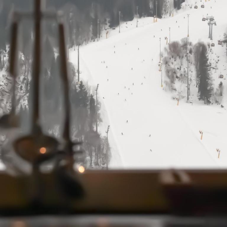 Sun Side by Schladming-Appartements - Sun Side Top 16 - 16
